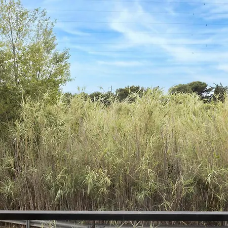 Sud Porte D'espagne Перпиньан